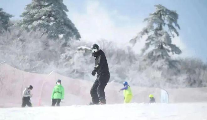 丽水也能过把滑雪瘾qy千亿球友会在(图8)